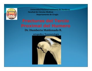 Fracturas del Tercio
Proximal del Humero
 Dr. Humberto Maldonado R.
      ortopedia y Traumatología
 