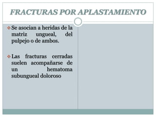FRACTURAS POR APLASTAMIENTO
Se asocian a heridas de la
matriz ungueal, del
pulpejo o de ambos.
Las fracturas cerradas
suelen acompañarse de
un hematoma
subungueal doloroso
 
