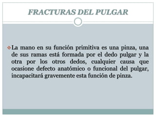 FRACTURAS DEL PULGAR
La mano en su función primitiva es una pinza, una
de sus ramas está formada por el dedo pulgar y la
otra por los otros dedos, cualquier causa que
ocasione defecto anatómico o funcional del pulgar,
incapacitará gravemente esta función de pinza.
 