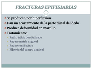 FRACTURAS EPIFISIARIAS
Se producen por hiperflexión
Dan un acortamiento de la parte distal del dedo
Produce deformidad en martillo
Tratamiento:
 Retiro tejido desvitalizado
 Reparo matriz ungueal
 Reduccion fractura
 Fijación del cuerpo ungueal
 