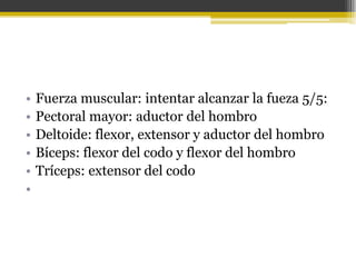 •
•
•
•
•
•

Fuerza muscular: intentar alcanzar la fueza 5/5:
Pectoral mayor: aductor del hombro
Deltoide: flexor, extensor y aductor del hombro
Bíceps: flexor del codo y flexor del hombro
Tríceps: extensor del codo

 