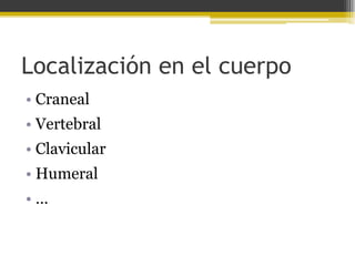 Localización en el cuerpo
• Craneal
• Vertebral

• Clavicular
• Humeral

•…

 