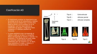 Clasificación AO
• Es importante recalcar la importancia que
ha tenido la AO en el tratamiento y manejo
de las fracturas desde hace muchos años
hasta la fecha y en la muñeca no es la
excepción. Los tres tipos básicos se
subdividen en grupos y subgrupos hasta
completar 27 subtipos posibles de
fracturas.
• La zona anatómica que corresponde al
cúbito y radio es la zona 2 y la epífisis
distal corresponde al número 3 (siendo 1 la
proximal y 2 la diafisaria) Así pues todas
las fracturas radiocubitales distales
comenzara por los números 23, es decir,
zona anatómica 2 (radio y cúbito) y 3
refiriéndonos a la parte distal.
 