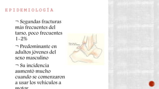 E P I D E M I O L O G Í A
¬ Segundas fracturas
más frecuentes del
tarso, poco frecuentes
1-2%
¬ Predominante en
adultos jóvenes del
sexo masculino
¬ Su incidencia
aumentó mucho
cuando se comenzaron
a usar los vehículos a
 