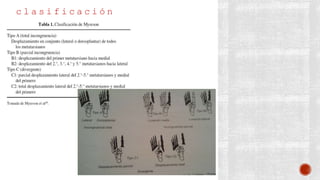 c l a s i f i c a c i ó n
 