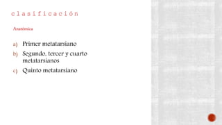 c l a s i f i c a c i ó n
a) Primer metatarsiano
b) Segundo, tercer y cuarto
metatarsianos
c) Quinto metatarsiano
Anatómica
 