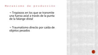 M e c a n i s m o d e p r o d u c c i ó n
¬ Tropiezos en los que se transmite
una fuerza axial a través de la punta
de la falange distal
¬ Traumatismo directo por caída de
objetos pesados
 