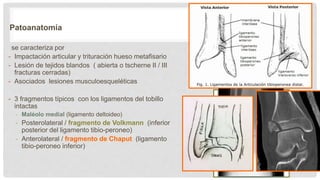 Patoanatomía
se caracteriza por
- Impactación articular y trituración hueso metafisario
- Lesión de tejidos blandos ( abierta o tscherne II / III
fracturas cerradas)
- Asociados lesiones musculoesqueléticas
- 3 fragmentos típicos con los ligamentos del tobillo
intactas
- Maléolo medial (ligamento deltoideo)
- Posterolateral / fragmento de Volkmann (inferior
posterior del ligamento tibio-peroneo)
- Anterolateral / fragmento de Chaput (ligamento
tibio-peroneo inferior)
 