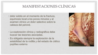 MANIFESTACIONES CLÍNICAS
• dolor súbito en el momento de la fractura,
equimosis local a los pocos minutos y al
examen clínico un dolor selectivo sobre la
cabeza del peroné.
• La exploración clínica y radiográfica debe
buscar las lesiones asociadas.
• Es obligada siempre la exploración de la
estabilidad de la rodilla y del estado de ciático
poplíteo externo
 