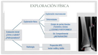 EXPLORACIÓN FÍSICA
 