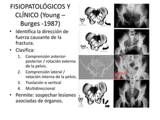 FISIOPATOLÓGICOS Y
CLÍNICO (Young –
Burges -1987)
• Identifica la dirección de
fuerza causante de la
fractura.
• Clasifica:
1. Comprensión anterior-
posterior / rotación externa
de la pelvis.
2. Comprensión lateral /
rotación interna de la pelvis.
3. Traslación o vertical
4. Multidireccional
• Permite: sospechar lesiones
asociadas de órganos.
Fractura
deL5
 
