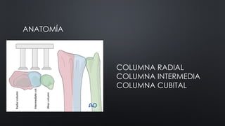 FRACTURAS DE RADIO DISTAL. Traumatología | PPTX
