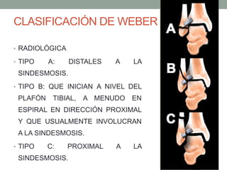 CLASIFICACIÓN DE WEBER
• RADIOLÓGICA
• TIPO A: DISTALES A LA
SINDESMOSIS.
• TIPO B: QUE INICIAN A NIVEL DEL
PLAFÓN TIBIAL, A MENUDO EN
ESPIRAL EN DIRECCIÓN PROXIMAL
Y QUE USUALMENTE INVOLUCRAN
A LA SINDESMOSIS.
• TIPO C: PROXIMAL A LA
SINDESMOSIS.
 