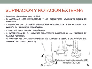 SUPINACIÓN Y ROTACIÓN EXTERNA
• Mecanismo más común de lesión (40-75%)
• EL ASTRÁGALO ROTA EXTERNAMENTE Y LAS ESTRUCTURAS ADYACENTES SIGUEN EN
SECUENCIA.
• I: DISRUPCIÓN DEL LIGAMENTO TIBIOPERONEO ANTERIOR, CON O SIN FRACTURA POR
AVULSIÓN EN LA UNIÓN DEL PERONÉ O TIBIA.
• II: FRACTURA EN ESPIRAL DEL PERONÉ DISTAL.
• III: ÍNTERRUPCIÓN EN EL LIGAMENTO TIBIOPERONEO POSTERIOR O UNA FRACTURA EN
MALEOLO POSTERIOR.
• IV: FRACTURA POR AVULSIÓN TRANSVERSA EN EL MALEOLO MEDIAL O UNA RUPTURA DEL
LIGAMENTO DELTOIDEO. (Webber B)
 