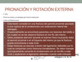 PRONACIÓN Y ROTACIÓN EXTERNA
• 7-19%
• El pie se evierte y el astrágalo gira hacia la abducción.
• Lesión de Maisonneuve
• I: Fractura transversa del maleolo medial o ruptura del ligamento deltoideo
• II:Ruptura del ligamento peroneo- tibial anterior
• III: Fractura oblicua corta del peroné por encima de la articulación
• IV: Ruptura del ligamento peroneo-tibial posterior o por avulsión al mismo nivel. (Weber C)
• Esta lesión consiste en una fractura del peroné proximal asociado
a una ruptura de la sindesmosis con subluxación lateral del
astrágalo.
• Ocasionalmente se encontrará pacientes con lesiones del tobillo a
los cuales no se les observa fractura en los Rx del mismo.
• Debe prestarse atención durante el exámen físico buscando dolor
el peroné proximal o en el trayecto del mismo ya que la fractura
puede encontrarse a este nivel.
• Estas fracturas se asocian a lesión del ligamento deltoidéo por lo
cual se comportan como fracturas bimaleolares. Se debe manejar
quirúrgicamente cerrando la sindesmosis con un tornillo a este
nivel y explorando el ligamento deltoidéo cuando esté indicado.
 