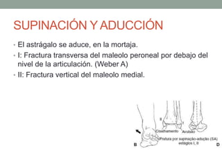SUPINACIÓN Y ADUCCIÓN
• El astrágalo se aduce, en la mortaja.
• I: Fractura transversa del maleolo peroneal por debajo del
nivel de la articulación. (Weber A)
• II: Fractura vertical del maleolo medial.
 