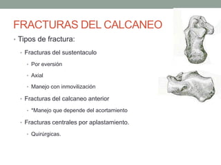 FRACTURAS DEL CALCANEO
• Tipos de fractura:
• Fracturas del sustentaculo
• Por eversión
• Axial
• Manejo con inmovilización
• Fracturas del calcaneo anterior
• *Manejo que depende del acortamiento
• Fracturas centrales por aplastamiento.
• Quirúrgicas.
 