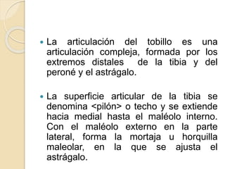  La articulación del tobillo es una
articulación compleja, formada por los
extremos distales de la tibia y del
peroné y el astrágalo.
 La superficie articular de la tibia se
denomina <pilón> o techo y se extiende
hacia medial hasta el maléolo interno.
Con el maléolo externo en la parte
lateral, forma la mortaja u horquilla
maleolar, en la que se ajusta el
astrágalo.
 