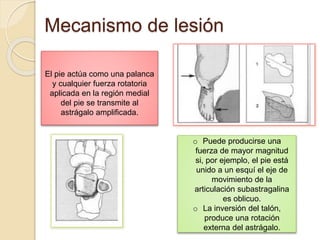 Mecanismo de lesión
o Puede producirse una
fuerza de mayor magnitud
si, por ejemplo, el pie está
unido a un esquí el eje de
movimiento de la
articulación subastragalina
es oblicuo.
o La inversión del talón,
produce una rotación
externa del astrágalo.
El pie actúa como una palanca
y cualquier fuerza rotatoria
aplicada en la región medial
del pie se transmite al
astrágalo amplificada.
 