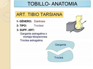TOBILLO- ANATOMIA
 