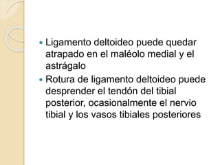 Ligamento deltoideo puede quedar
atrapado en el maléolo medial y el
astrágalo
 Rotura de ligamento deltoideo puede
desprender el tendón del tibial
posterior, ocasionalmente el nervio
tibial y los vasos tibiales posteriores
 