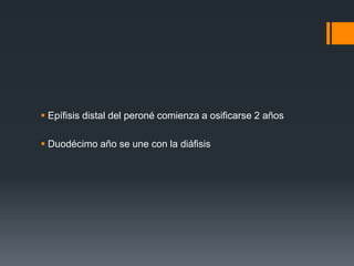  Epífisis distal del peroné comienza a osificarse 2 años
 Duodécimo año se une con la diáfisis
 