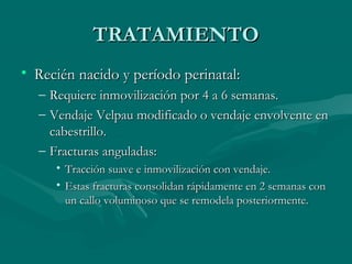 TTRRAATTAAMMIIEENNTTOO 
• RReecciiéénn nnaacciiddoo yy ppeerrííooddoo ppeerriinnaattaall:: 
– RReeqquuiieerree iinnmmoovviilliizzaacciióónn ppoorr 44 aa 66 sseemmaannaass.. 
– VVeennddaajjee VVeellppaauu mmooddiiffiiccaaddoo oo vveennddaajjee eennvvoollvveennttee eenn 
ccaabbeessttrriilllloo.. 
– FFrraaccttuurraass aanngguullaaddaass:: 
• TTrraacccciióónn ssuuaavvee ee iinnmmoovviilliizzaacciióónn ccoonn vveennddaajjee.. 
• EEssttaass ffrraaccttuurraass ccoonnssoolliiddaann rrááppiiddaammeennttee eenn 22 sseemmaannaass ccoonn 
uunn ccaalllloo vvoolluummiinnoossoo qquuee ssee rreemmooddeellaa ppoosstteerriioorrmmeennttee.. 
 