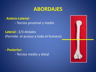 ABORDAJES
- Antero-Lateral:
- Tercios proximal y medio
Lateral : 2/3 distales
(Permite el acceso a todo el humero)
- Posterior:
- Tercios medio y distal
 