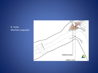 N. Axilar
Movilizar paquetes
 