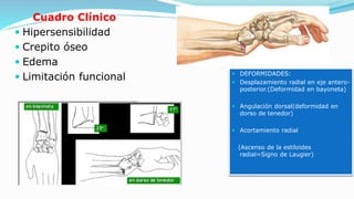 Cuadro Clínico
 Hipersensibilidad
 Crepito óseo
 Edema
 Limitación funcional  DEFORMIDADES:
 Desplazamiento radial en eje antero-
posterior.(Deformidad en bayoneta)
 Angulación dorsal(deformidad en
dorso de tenedor)
 Acortamiento radial
(Ascenso de la estiloides
radial=Signo de Laugier)
 
