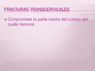 FRACTURAS TRANSCERVICALES 
 Compromete la parte media del cuerpo del 
cuello femoral. 
 