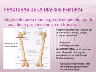 FRACTURAS DE LA DIÁFISIS FEMORAL 
Segmento óseo más largo del esqueleto, por lo 
cual tiene gran incidencia de fracturas. 
Puede producirse una fractura por 
un mecanismo de tipo directo 
(choque o proyectil) 
Fracturas 
multifragmentarias o 
Mectraannissmveor sinadleirsecto: Cuando se 
traba el pie o la pierna y se 
exageran los movimientos de 
flexión o rotación 
Oblicuos o espiroideos, alas 
de mariposa (puede haber 
trazo incompleto) 
 