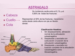 ASTRAGALO 
 Cabeza 
 Cuello 
 Cola 
Su incidencia oscila entre el 0,1% y el 
0,85% de todas las fracturas. 
Representan el 50% de las fracturas, mecanismo: 
caída desde cierta altura con pie en flexión 
dorsal. 
Clasificación Hawkins: 
I. Sin desplazamiento, alineación 
normal de la articulación 
subastragalina 
II. Desplazada y asociada con 
subluxación o luxación de la 
articulación subastragalina 
III. Desplazada y asociada con 
luxación completa de la articulación 
subastragalina como 
tibioastragalina. 
 