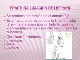 FRACTURA-LUXACIÓN DE LISFRANC 
 Se produce por torción en el antepie fijo. 
 Esta fractura corresponde a la linea articular 
tarso-metatarsiana (por un lado la base de 
los 5 metatarsianos y por otro las cuñas y los 
cuboides). 
 Clasificación Hardcastle: 
 I. Homolateral 
 Aislada 
 Divergente 
 
