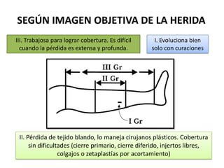 SEGÚN IMAGEN OBJETIVA DE LA HERIDA
I. Evoluciona bien
solo con curaciones
II. Pérdida de tejido blando, lo maneja cirujanos plásticos. Cobertura
sin dificultades (cierre primario, cierre diferido, injertos libres,
colgajos o zetaplastías por acortamiento)
III. Trabajosa para lograr cobertura. Es difícil
cuando la pérdida es extensa y profunda.
 