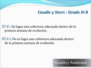 Caudle y Stern : Grado III B
III B 1: Se logra una cobertura adecuada dentro de la
primera semana de evolución.

III B 2: No se logra una cobertura adecuada dentro
de la primera semana de evolución.

 