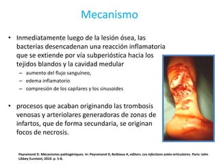 Mecanismo
• Inmediatamente luego de la lesión ósea, las
bacterias desencadenan una reacción inflamatoria
que se extiende por vía subperióstica hacia los
tejidos blandos y la cavidad medular
– aumento del flujo sanguíneo,
– edema inflamatorio
– compresión de los capilares y los sinusoides
• procesos que acaban originando las trombosis
venosas y arteriolares generadoras de zonas de
infartos, que de forma secundaria, se originan
focos de necrosis.
Peyramond D. Mécanismes pathogéniques. In: Peyramond D, Boibieux A, editors. Les infections ostéo-articulaires. Paris: John
Libbey Eurotext; 2010. p. 5-8.
 