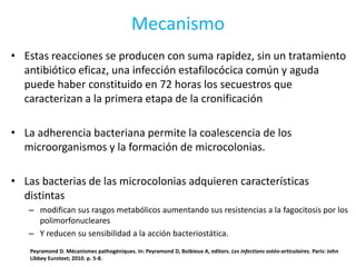 Mecanismo
• Estas reacciones se producen con suma rapidez, sin un tratamiento
antibiótico eficaz, una infección estafilocócica común y aguda
puede haber constituido en 72 horas los secuestros que
caracterizan a la primera etapa de la cronificación
• La adherencia bacteriana permite la coalescencia de los
microorganismos y la formación de microcolonias.
• Las bacterias de las microcolonias adquieren características
distintas
– modifican sus rasgos metabólicos aumentando sus resistencias a la fagocitosis por los
polimorfonucleares
– Y reducen su sensibilidad a la acción bacteriostática.
Peyramond D. Mécanismes pathogéniques. In: Peyramond D, Boibieux A, editors. Les infections ostéo-articulaires. Paris: John
Libbey Eurotext; 2010. p. 5-8.
 