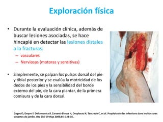 Exploración física
• Durante la evaluación clínica, además de
buscar lesiones asociadas, se hace
hincapié en detectar las lesiones distales
a la fracturas:
– vasculares
– Nerviosas (motoras y sensitivas)
• Simplemente, se palpan los pulsos dorsal del pie
y tibial posterior y se evalúa la motricidad de los
dedos de los pies y la sensibilidad del borde
externo del pie, de la cara plantar, de la primera
comisura y de la cara dorsal.
Gagey O, Doyon F, Dellamonica P, Carsenti-Etesse H, Desplaces N, Tancrede C, et al. Prophylaxie des infections dans les fractures
ouvertes de jambe. Rev Chir Orthop 2009;85: 328-36..
 