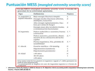 Puntuación MESS (mangled extremity severity score)
• Johansen K, Daines M, Howey T, Helfet D, Hansen Jr. ST. Objective criteria accurately predict amputation following lower extremity
trauma. J Trauma 2007;30:568-72
 