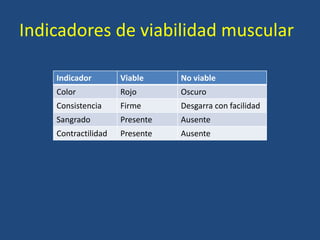 Indicadores de viabilidad muscular
Indicador Viable No viable
Color Rojo Oscuro
Consistencia Firme Desgarra con facilidad
Sangrado Presente Ausente
Contractilidad Presente Ausente
 