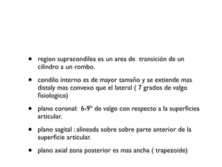 •   region supracondilea es un area de transición de un
    cilindro a un rombo.

•   condilo interno es de mayor tamaño y se extiende mas
    distaly mas convexo que el lateral ( 7 grados de valgo
    ﬁsiologico)

•   plano coronal: 6-9º de valgo con respecto a la superﬁciea
    articular.

•   plano sagital : alineada sobre sobre parte anterior de la
    superﬁcie articular.

•   plano axial zona posterior es mas ancha ( trapezoide)
 