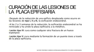 CURACIÓNDELASLESIONESDE
LA PLACAEPIFISIARIA
SALTERRB.TRASTORNOSYLESIONESDELSISTEMAMUSCULOESQUELÉTICO.3ªED.MÉXICO:ELSEVIER-MASSON.
oDespués de la reducción de una epífisis desplazada como ocurre en
las lesiones de tipo I, II y III, la osificación endocondral.
oA las 2 o 3 semanas de la reducción, la osificación endocondral se ha
reiniciado y ha unido la placa epifisiaria a la metáfisis.
oLesión tipo IV: cura como cualquier otra fractura de un hueso
esponjoso
oLesión tipo V: cura mediante la formación de un puente óseo a través
de la placa epifisiaria.
 