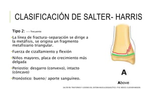 CLASIFICACIÓN DE SALTER- HARRIS
Tipo 2: ++ frecuente
•La línea de fractura-separación se dirige a
la metáfisis, se origina un fragmento
metafisiario triangular.
•Fuerza de cizallamiento y flexión
•Niños mayores, placa de crecimiento más
delgada
•Periostio: desgarro (convexo), intacto
(cóncavo)
•Pronóstico: bueno/ aporte sanguíneo.
SALTER RB. TRASTORNOS Y LESIONES DEL SISTEMA MUSCULOESQUELÉTICO. 3ª ED. MÉXICO: ELSEVIER-MASSON.
 