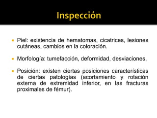  Piel: existencia de hematomas, cicatrices, lesiones
cutáneas, cambios en la coloración.
 Morfología: tumefacción, deformidad, desviaciones.
 Posición: existen ciertas posiciones características
de ciertas patologías (acortamiento y rotación
externa de extremidad inferior, en las fracturas
proximales de fémur).
 
