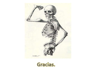 Fracturas gral..pptx