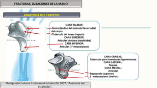 FRACTURAS, LUXACIONES DE LA MANO
ANATOMÍA DEL TRAPECIO
Medigraphic volume 3 número 4 octubre.Dic 2007, “Anatomía del
escafoides”,
 