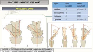 FRACTURAS, LUXACIONES DE LA MANO
TRATADO DE ANATOMIA HUMANA QUIROZ “ ANATOMIA DE FALANGES,
CAPITULO 1 ESQUELETO DEL MIEMBRO SUPERIOR, MANO PAGINA 152
ÁNGULOS DEL CARPO
 Angulo radio-escafoideo
 Angulo radiolunar
 Angulo capitolunar
 Angulo escafolunar
 