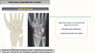 ARCOS DE GILULA
FRACTURAS, LUXACIONES DE LA MANO
TRATADO DE ANATOMIA HUMANA QUIROZ “ ANATOMIA DE FALANGES,
CAPITULO 1 ESQUELETO DEL MIEMBRO SUPERIOR, MANO PAGINA 152
Toda interrupción en el contorno de
alguno de los arcos=
INESTABILIDAD CARPIANA=
LUXACION HUESOS DEL CARPO
 