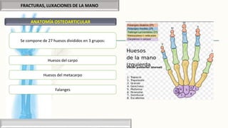 FRACTURAS, LUXACIONES DE LA MANO
ANATOMÍA OSTEOARTICULAR
Se compone de 27 huesos divididos en 3 grupos:
Huesos del carpo
Huesos del metacarpo
Falanges
 